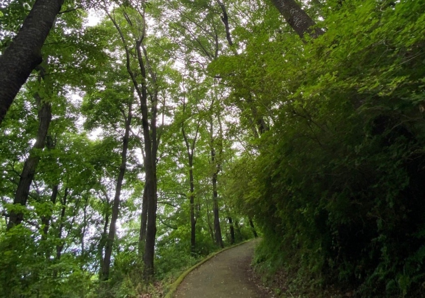 秩父　トレッキング　美の山