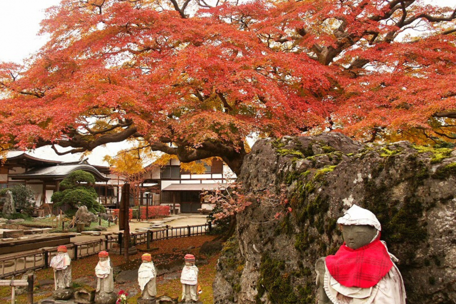 札所8番　西善寺