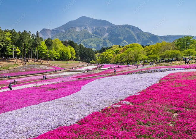 羊山公園見晴しの丘